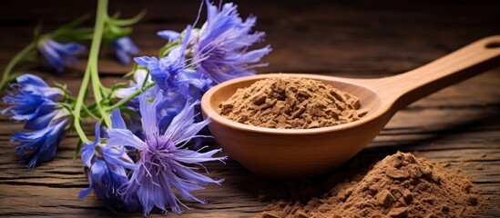 Using chicory root and flowers create a healthy beverage on a rustic wooden backdrop alternative medicine for wellness - obrazy, fototapety, plakaty