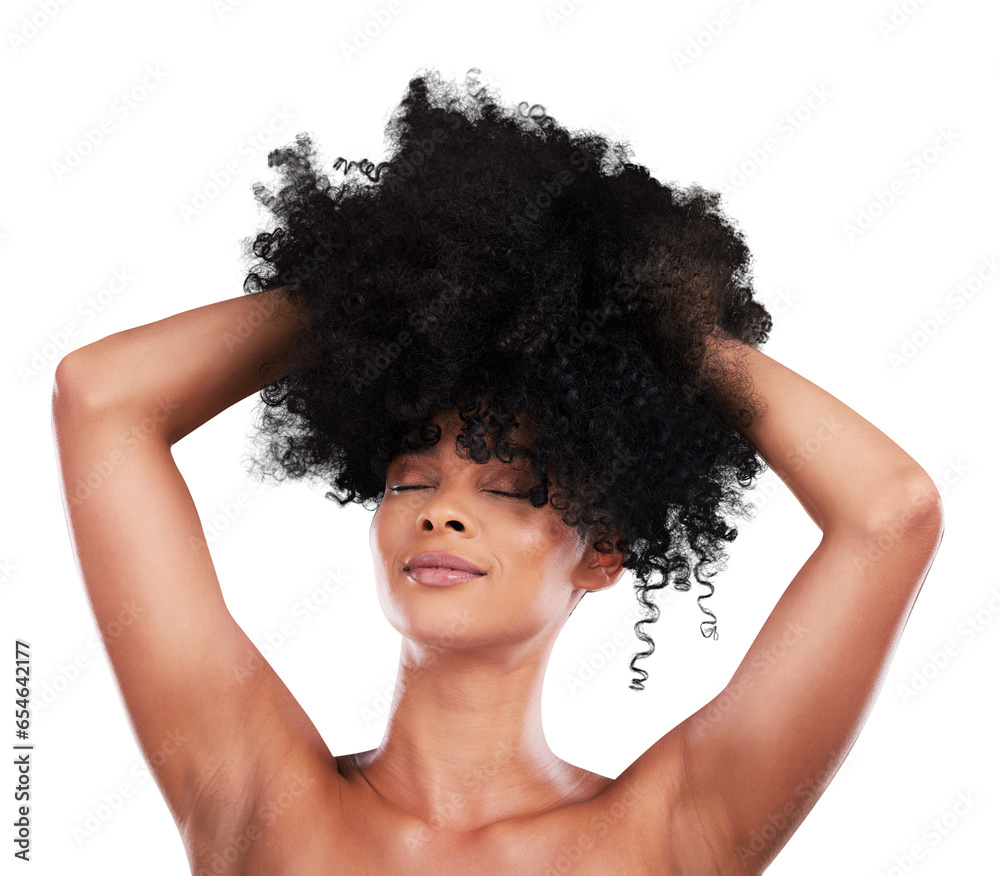 Wall mural Hands in hair, face and black woman with afro and beauty, haircare and cosmetics on png transparent background. Person, natural and cosmetic treatment with curly hairstyle, healthy texture or smile