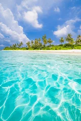 Fototapeten Beautiful tropical beach with white sand, palm trees, turquoise ocean blue sky clouds on sunny summer. Majestic panoramic landscape background for relaxing vacation, island of Maldives. Amazing nature © icemanphotos
