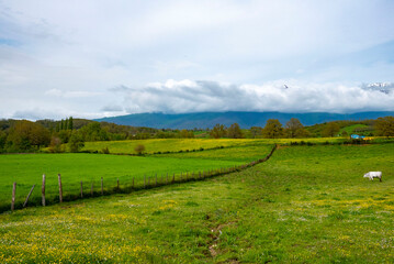 Fototapeta na wymiar Agricultural Fields in Lazio - Italy