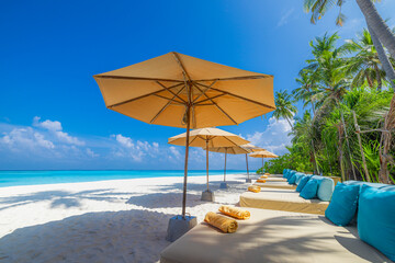 Popular summer holiday and vacation destination. Sunny sea coast umbrellas chairs beach beds coconut palm trees. Luxury travel, best landscape. Tropical paradise island. Exotic seaside calm wellbeing