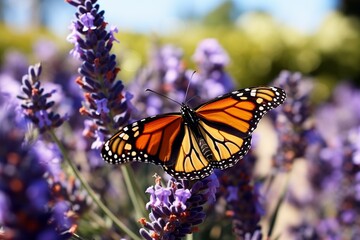 Obraz premium Generative AI : Monarch Butterfly on the Lavender in Garden.