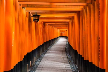 Tuinposter Red Torii gates along footpath in Fushimi Inari Shrine, Kyoto © Blanscape