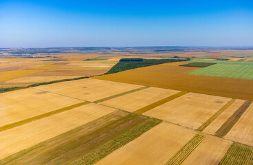 Fototapeta premium Aerial view of a field with cultivated agricultural land