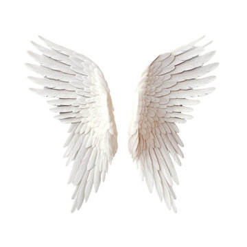 White angel wing on transparent background
