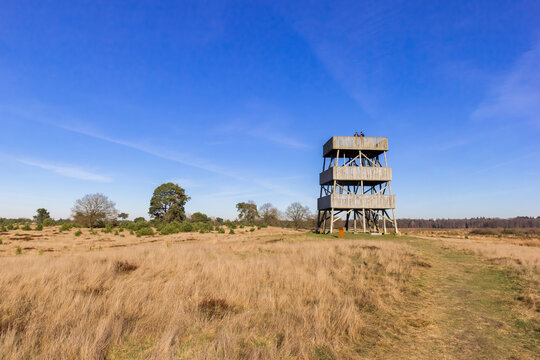 Wooden lookout tower in national park Drents Friese Wold, Netherlands