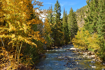 changing aspen and cottonwood trees and mountains at the duck creek picnic on a sunny fall day ...