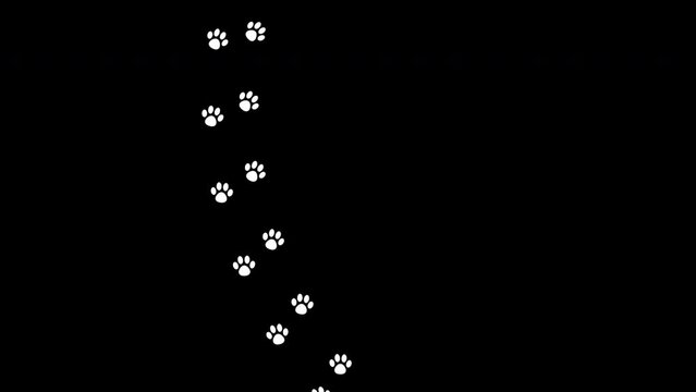 Animal cat and dog paw prints on transparent alpha channel. Full Hd. 4K