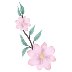 Naklejka na ściany i meble pink flower isolated on white