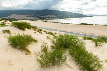 Valdevaqueros dune in Tarifa, Cadiz, Spain