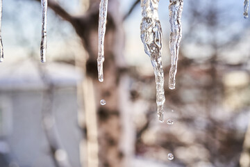 Ice icicles on the roof in winter.