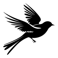Bird Silhouette Illustration 