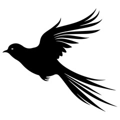 Bird Silhouette Illustration 