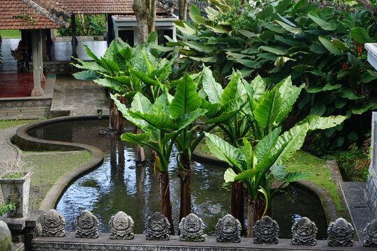 Tirtagangga royal gardens, Bali, Indonesia, with tiered fountain, fish ponds and stone causeway through pools