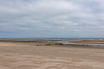 The remnants of a wreck amongst old Wooden Posts near a berthing Area at the north end of Montrose...