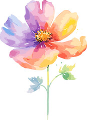 Watercolor flowers