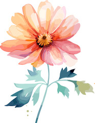 Watercolor flowers