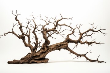 an old, dry tree with only twigs remaining and a white background generative ai