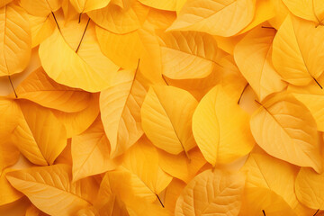 Lemon chiffon background with autumn leaves - obrazy, fototapety, plakaty