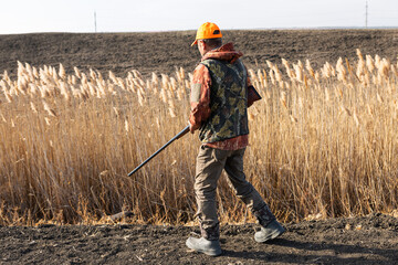 Mature man hunter with gun while walking on field.