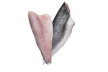 Fresh raw sea bass fillet isolated on a white background