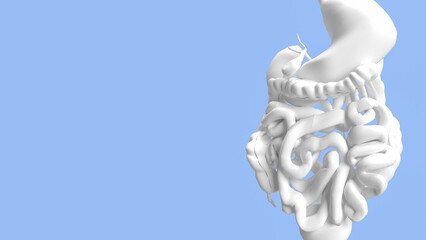 The viscera for health and medical concept 3d rendering