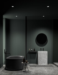 Dark green bathroom interior with tub and sink - obrazy, fototapety, plakaty