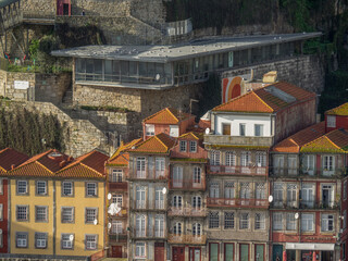 Frühling in Porto am Douro