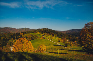 Górskie klimaty | Koniec lata w górach | Pierwsze dni jesieni | Beskidy | Góry © Aneta