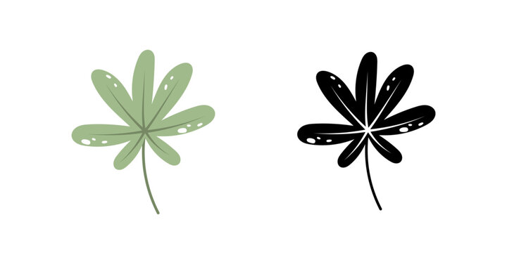 Beautiful flat aralia leaf. Jungle foliage illustration. Plant floral design. Summer botanical print. Vector aralya isolated on white background. Tropical exotic fastia leaf