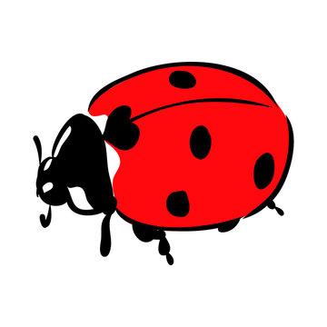 red ladybug black spots white background clip art preview