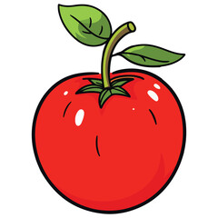 Red tomato vector,Print Ready,Tomato eps