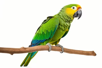 Stof per meter Amazon parrot perched on a branch, isolated on white background. PNG. close up of Amazon. digital ai art, Generative AI  © Ashutosh
