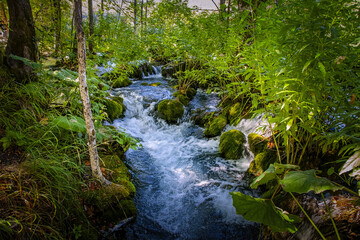 Obraz premium Östliche Adria. Kroatien. Plitvicen Seen