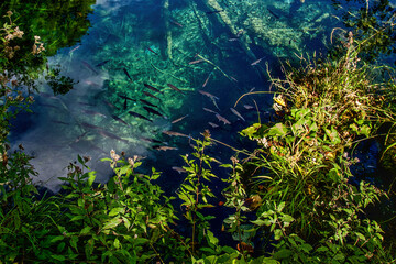 Östliche Adria. Kroatien. Plitvicen Seen
