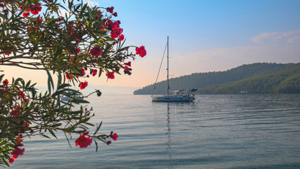 Fototapete bei efototapeten.de bestellen   