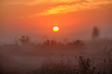 Sunrise over the foggy field