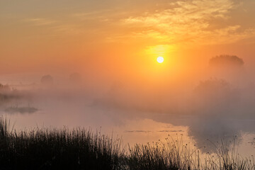 Obraz premium sunrise over the field