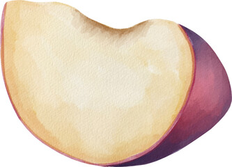 Plum fruit Watercolor PNG paper texture