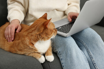 Woman working with laptop and petting cute cat on sofa at home, closeup