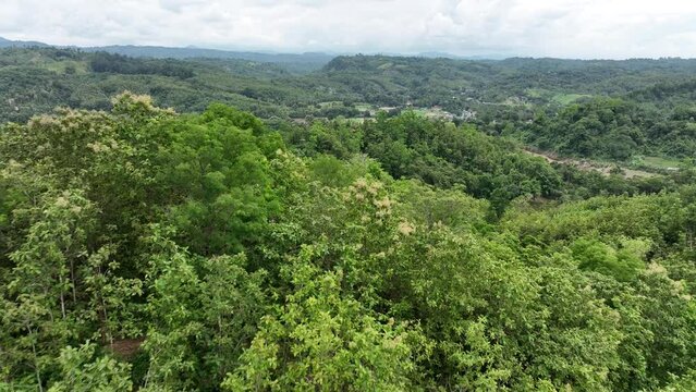 Aerial view of a hilly landscape, Chittagong, Bangladesh. 4k high quality