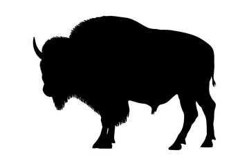 Bison buffalo silhouette. Vector illustration