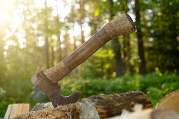 An axe with a wooden handle is stuck in a tree.Chop firewood on a hike.Harvesting firewood for the...