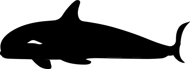 False Killer Whale icon 1 - obrazy, fototapety, plakaty