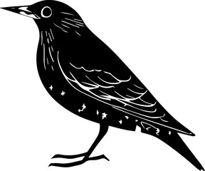 European Starling icon 2