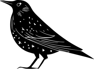 Obraz premium European Starling icon 5