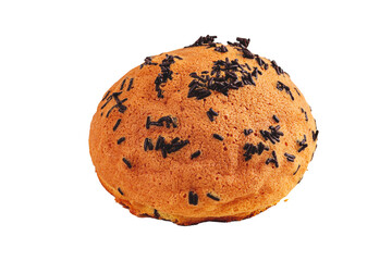chocolate chip cookie