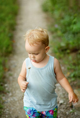 Cute little blond boy holding fluffy dandelion, child playing on summer nature