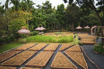 Vegetable planting plot amidst nature, country style.