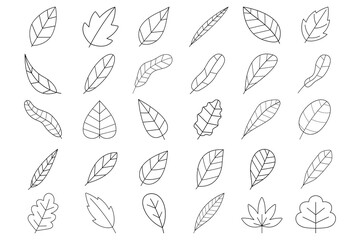 leaf line doodle icon